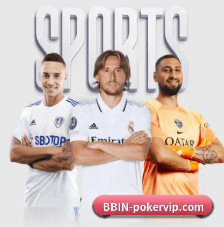 bbin真人网站的方向